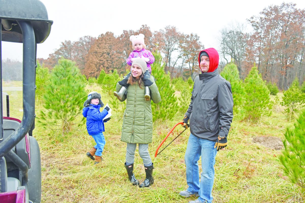 Alfeldt’s Celebrates 50 Years In The Christmas Tree Business